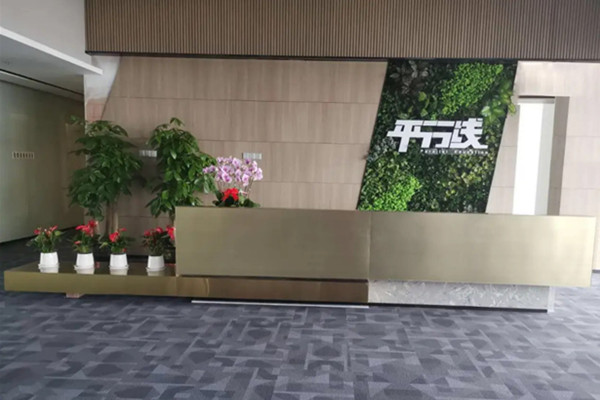 平行线教育加盟